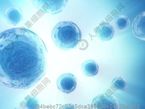 亚全能干细胞属于哪类干细胞