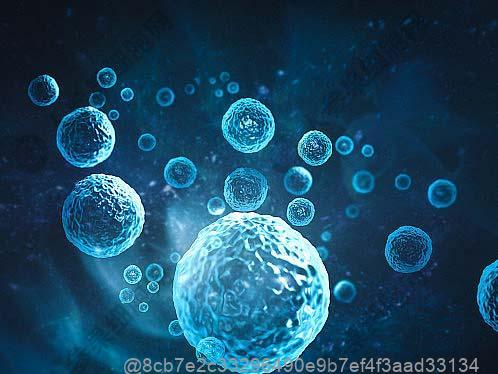 巨噬细胞属于哪类干细胞