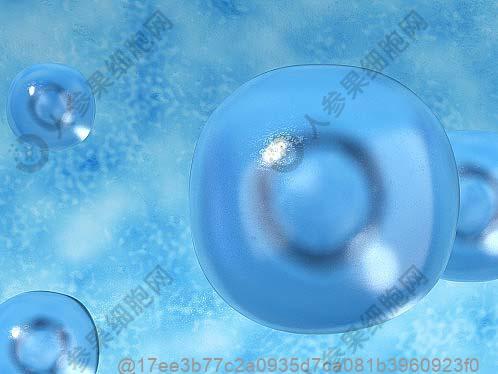 生殖干细胞有哪些功效？