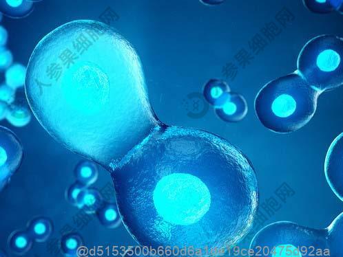 中性粒细胞在哪些疾病上用？