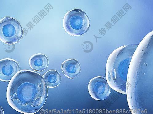 哪个医院有干细胞治卵泡发育不良？