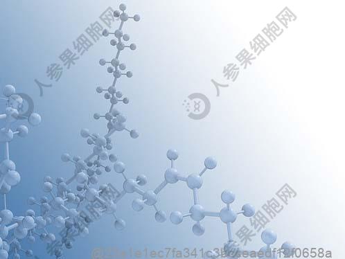 亳州神经干细胞哪医院有？