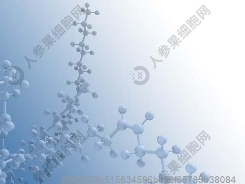 抚顺可以做干细胞医院有哪些