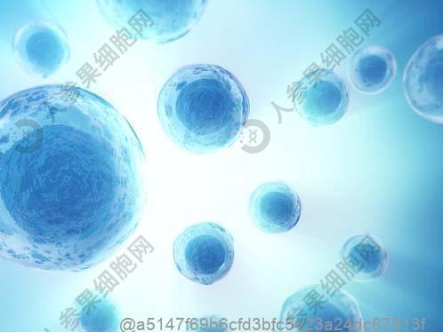 四川干细胞费用大概要多少钱