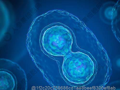 干细胞静脉回输对血清阴性脊柱关节病有作用吗