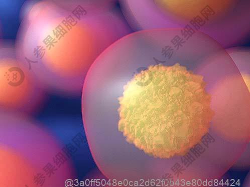 新疆哪家医院可以注射免疫细胞治疗