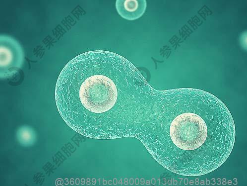 那个医院做干细胞治疗记忆障碍价格多少