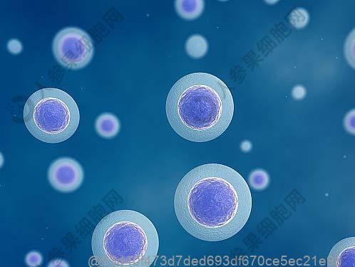 卵巢干细胞靶向治疗技术是什么