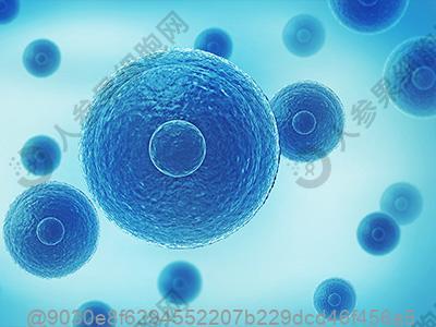 内蒙古干细胞注射多少钱?做干细胞的价格具体是多少