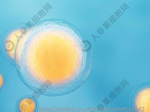 黄骅无精症干细胞治疗医院